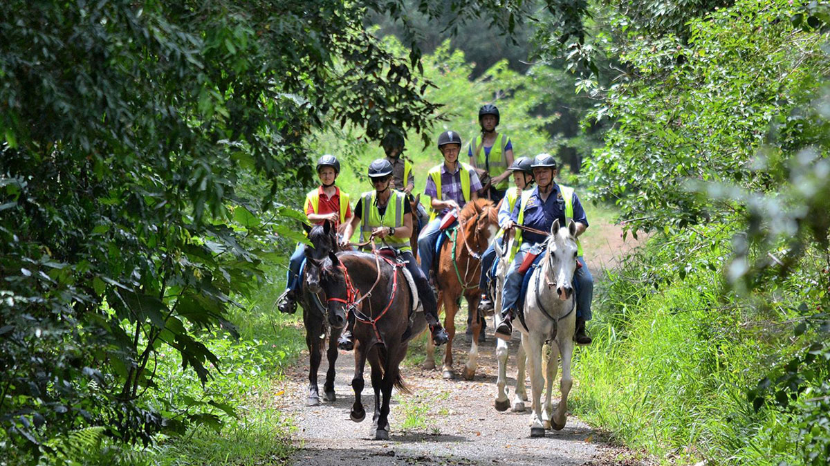 Paseo de medio día