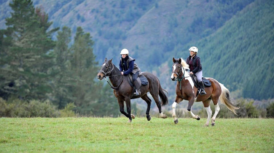 Galloping horses