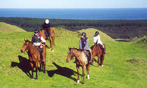 Horse riding through the forest