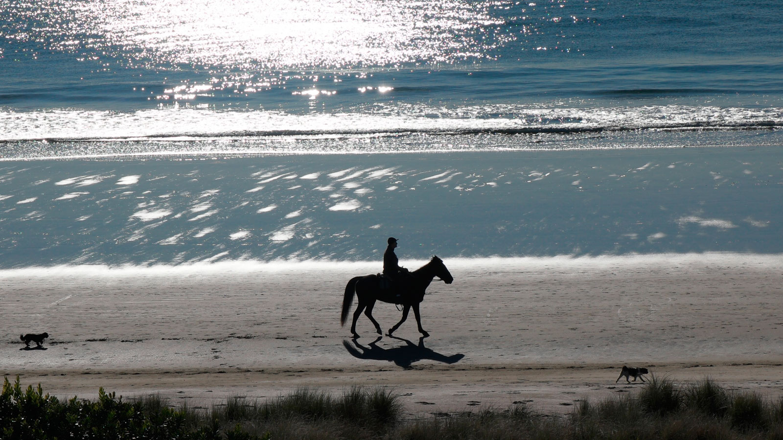 Horse riding on the beach - Oceania