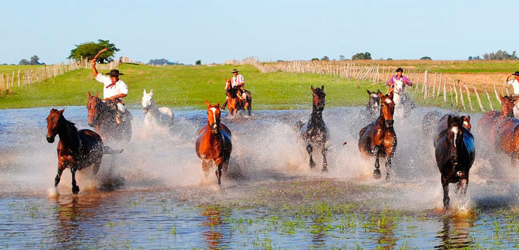 Estancia La Rosita