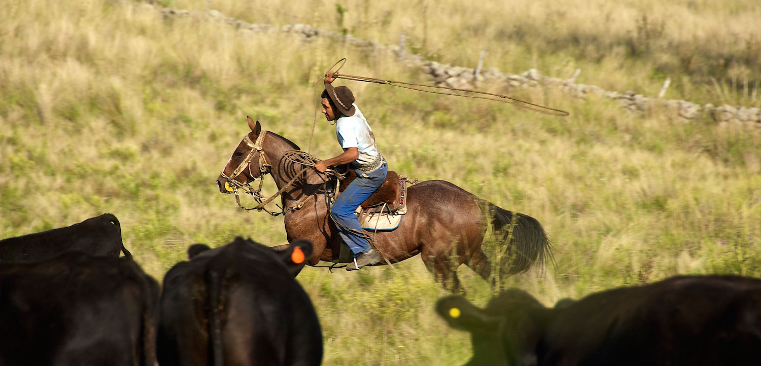 Estancia Los Potreros