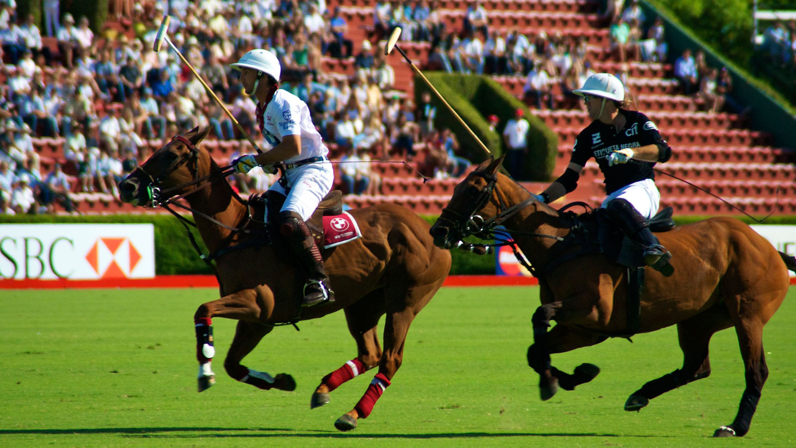 Polo Sport en Argentine