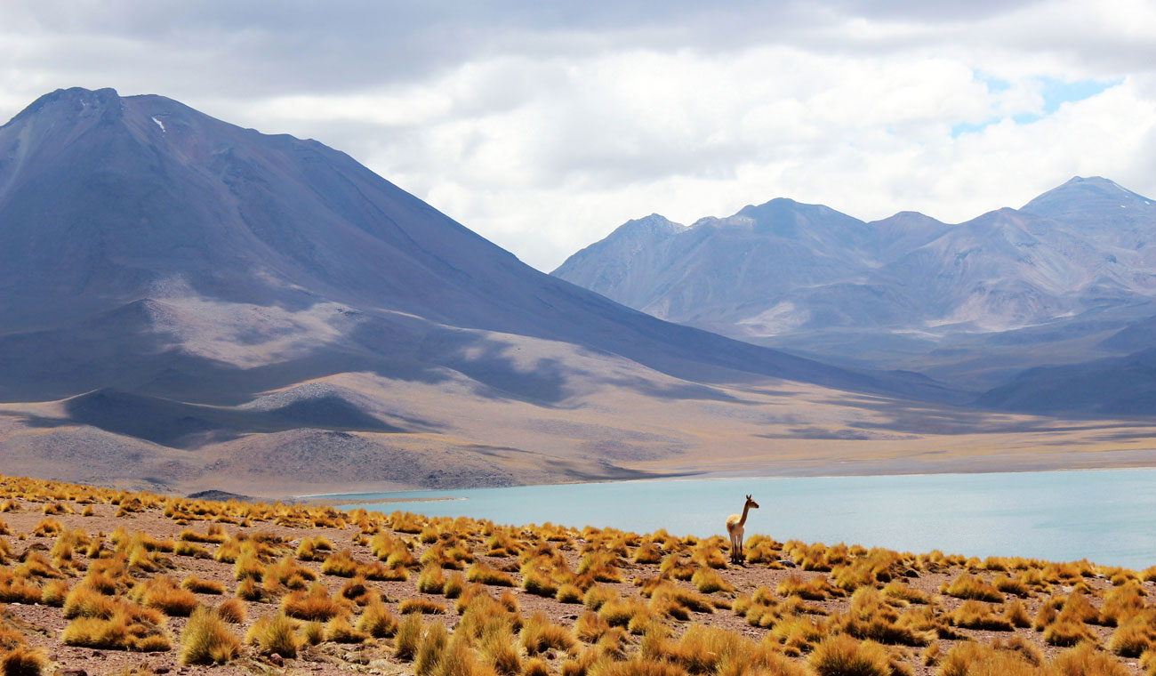 Landscape of Chile