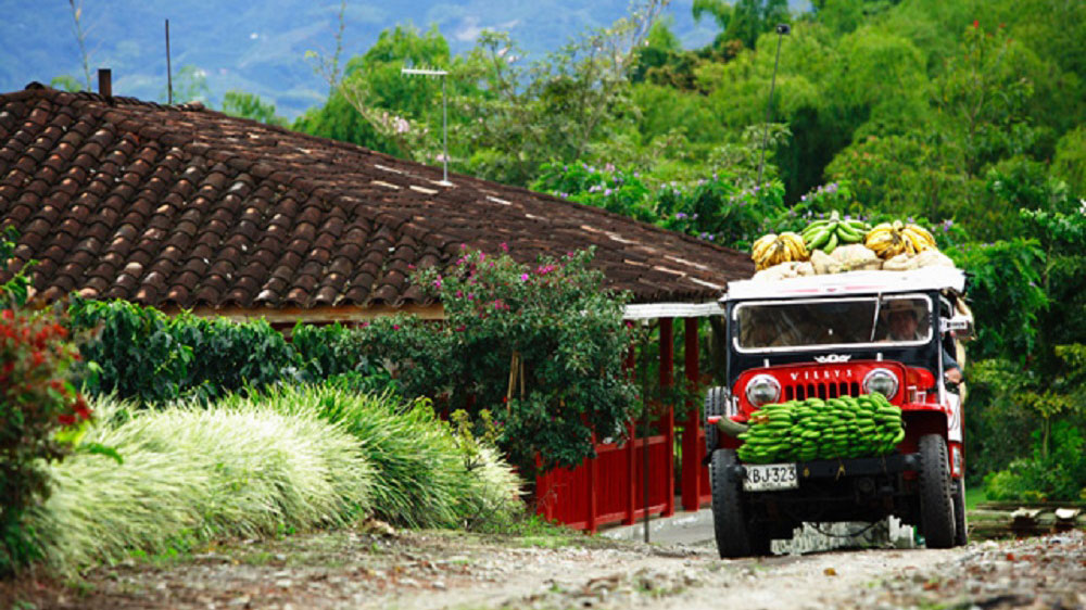 Colombie La route du café