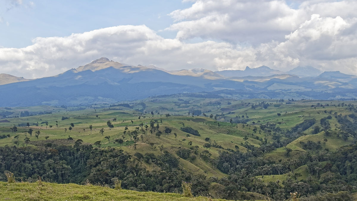 Vallée Colombie