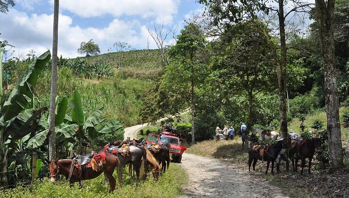 Colombie - Route du Café