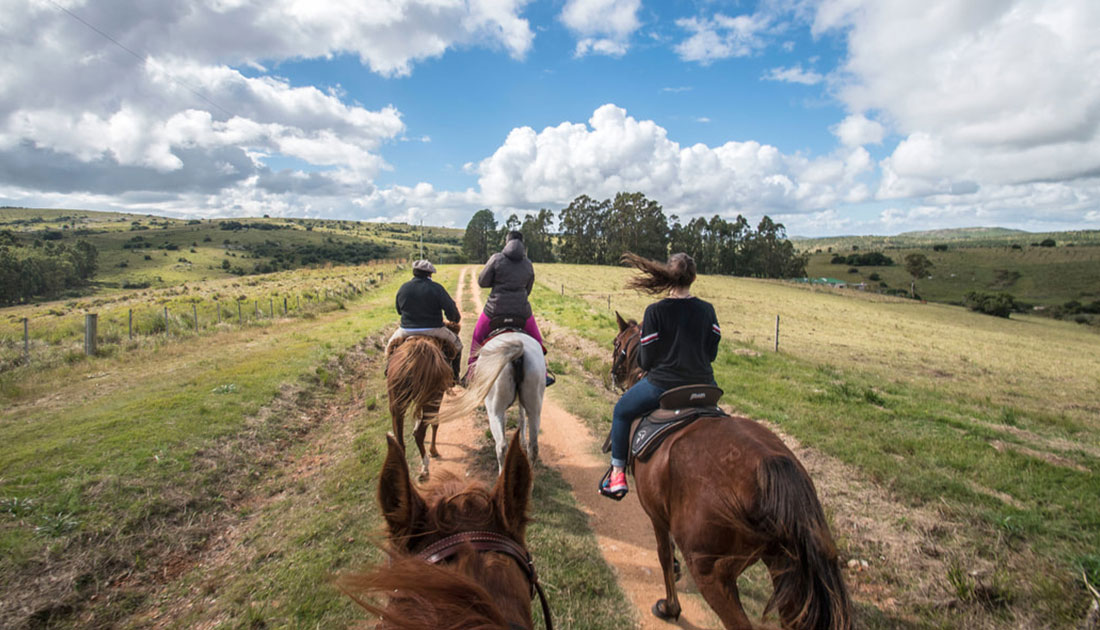 Uruguay Route on horseback