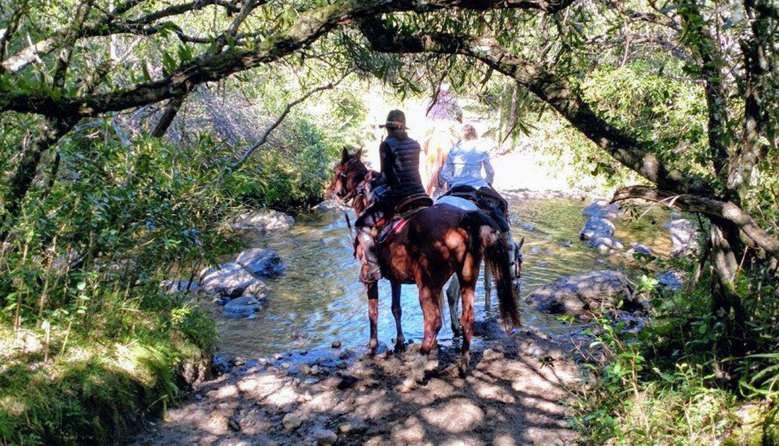 Horse riding holidays in Uruguay | Ampascachi