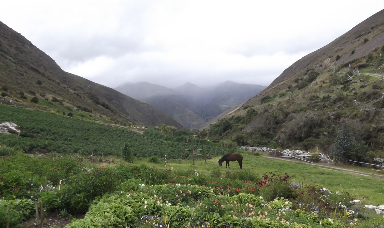 Andes Venezuela