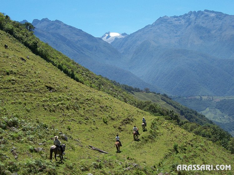 Venezuela Horse trail