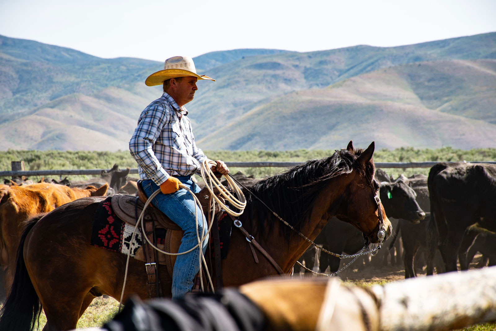 Reiterferien auf einer Ranch oder Estancia