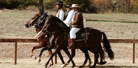 Monter un cheval Paso péruvien