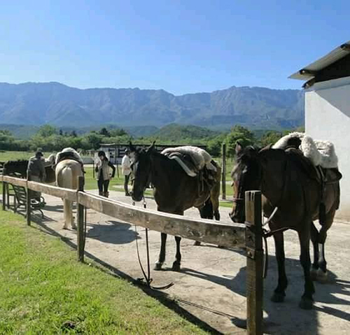 Centre équestre Haras Ampascachi