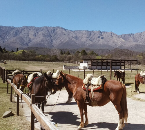 Apprenez à faire du cheval dans la  Vallée Traslasierra