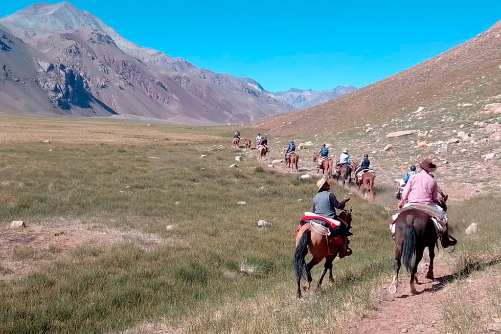 Horses on the Andes Route