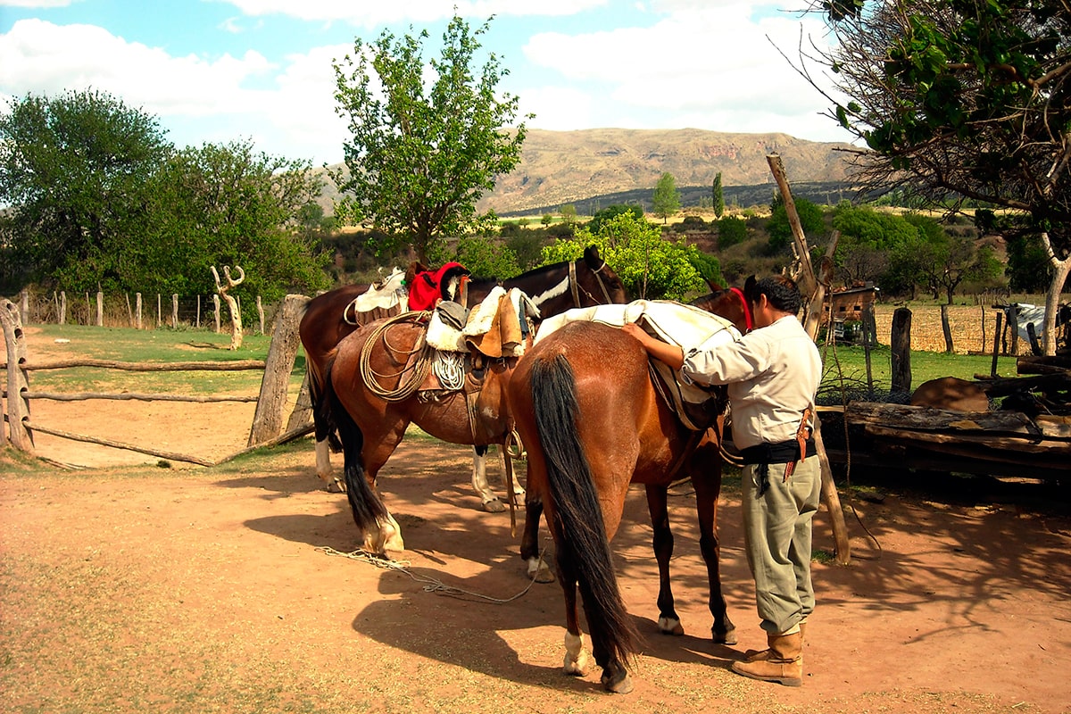Equestrian holidays in Lerma Valley