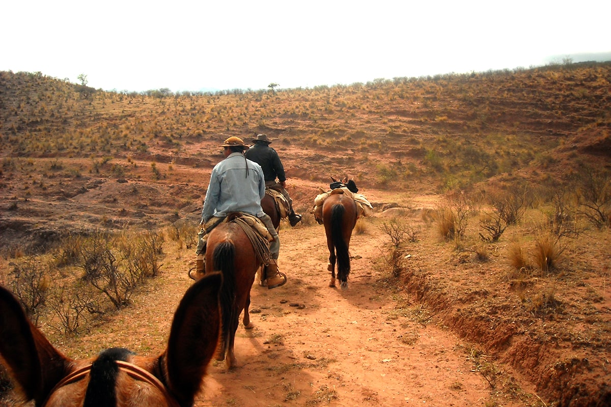 Horseback riding in the Lerma Valley