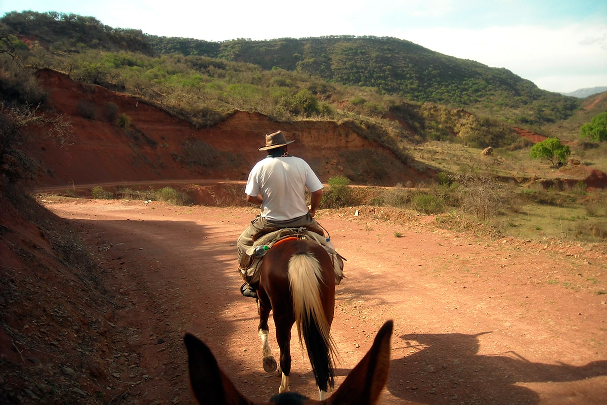 Horse riding -Lerma Valley