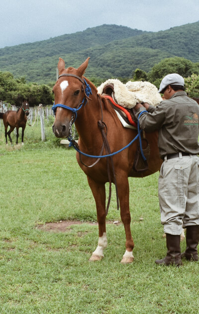 Advantages Equestrian tourism with Ampascachi
