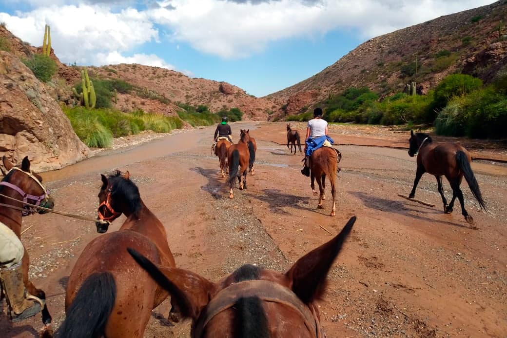 Equestrian routes in the Calchaquíes Valleys