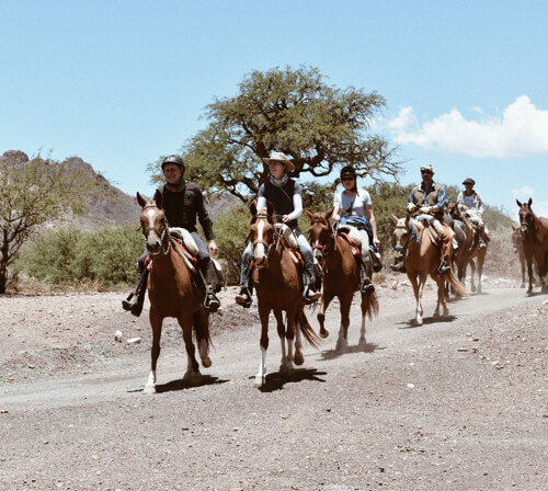 The Calchaquí Valleys on horseback
